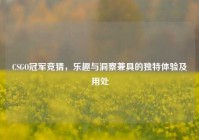 CSGO冠军竞猜，乐趣与洞察兼具的独特体验及用处
