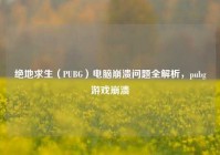 绝地求生（PUBG）电脑崩溃问题全解析，pubg游戏崩溃