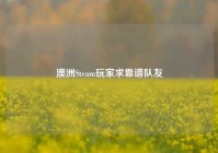 澳洲Steam玩家求靠谱队友