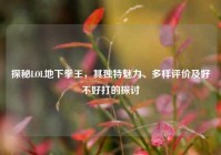 探秘LOL地下拳王，其独特魅力、多样评价及好不好打的探讨