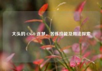 大头的 CSGO 逐梦，苦练技能及用法探索