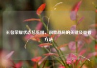 王者荣耀状态总览图，洞察战局的关键及查看方法