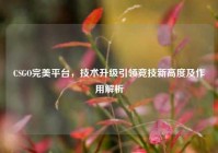CSGO完美平台，技术升级引领竞技新高度及作用解析
