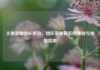王者荣耀团长奖励，团队荣耀背后的激励与领取指南