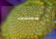 LOL蛇女的买鞋门道