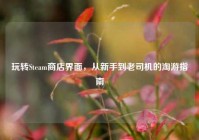 玩转Steam商店界面，从新手到老司机的淘游指南