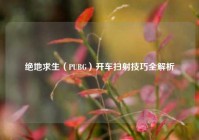 绝地求生（PUBG）开车扫射技巧全解析