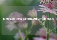 探寻CSGO中12块钱背后的神秘梗及CSgo价格真相