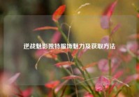 逆战魅影独特服饰魅力及获取方法