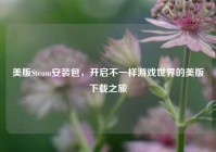 美版Steam安装包，开启不一样游戏世界的美版下载之旅