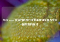剖析 steam 中国对游戏行业变革及自身是否受中国限制的探讨
