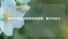 探寻LOL战队名称背后的故事、魅力与含义