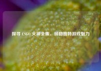 探寻 CSGO 火神全集，领略独特游戏魅力