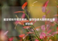 能定格和平精英瞬间、留存珍贵光影的照片播放软件