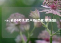 PUBG 被盗号后误封及申诉能否解封情况描述