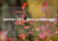 探寻手游CF兰魅力，那些令人心动的所有图片