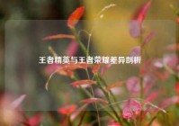 王者精英与王者荣耀差异剖析