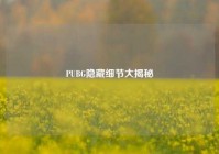 PUBG隐藏细节大揭秘