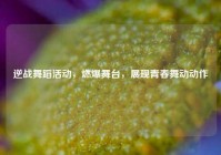 逆战舞蹈活动，燃爆舞台，展现青春舞动动作