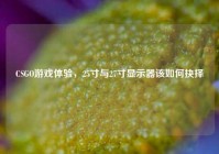 CSGO游戏体验，25寸与27寸显示器该如何抉择