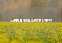 pubg国际服与轻量版悬浮窗全面解析