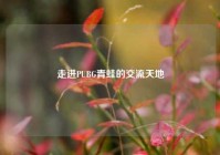 走进PUBG青蛙的交流天地