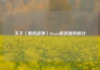 关于〈我的战争〉Steam修改器的探讨