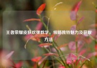 王者荣耀皮肤吹弹教学，领略独特魅力及获取方法