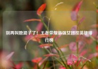 别再叫她混子了！王者荣耀最强女团控英雄排行榜