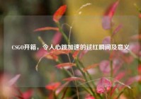 CSGO开箱，令人心跳加速的过红瞬间及意义