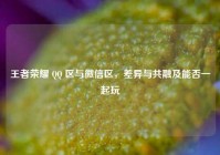王者荣耀 QQ 区与微信区，差异与共融及能否一起玩