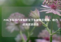 PUBG下车技巧全解析及下车键相关指南，助力战场灵活出击