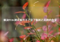 解决PUBG测试服开不了及了解其已关闭的含义