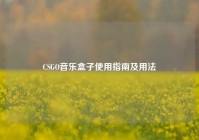 CSGO音乐盒子使用指南及用法