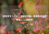 绝地求生（PUBG）调帧全攻略，畅享极致游戏体验之pubg调帧率
