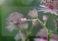 探索pubg.mn666