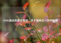 PUBG退出后能否再进，关于其死去一天的疑问