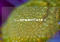 Steam中吃鸡游戏的导入方法
