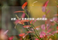 初墨，CF 世界中别具一格的色彩