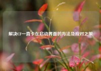 解决CF一直卡在启动界面的方法及应对之策