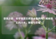 登顶之路，和平精英区榜算全服榜吗？揭秘背后的汗水、策略与荣耀