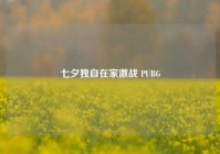 七夕独自在家激战 PUBG