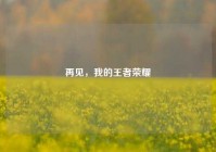 再见，我的王者荣耀