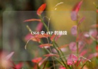 CSGO 中 AWP 的绝技