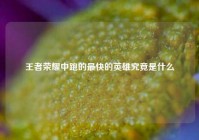 王者荣耀中跑的最快的英雄究竟是什么