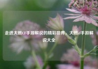 走进大熊CF手游解说的精彩世界，大熊cf手游解说大全