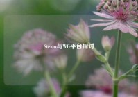 Steam与WG平台探讨