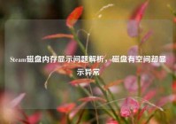 Steam磁盘内存显示问题解析，磁盘有空间却显示异常