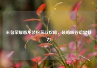 王者荣耀恶龙装扮获取攻略，领略峡谷暗黑魅力