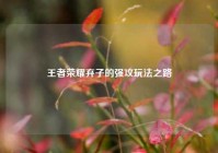 王者荣耀弃子的强攻玩法之路